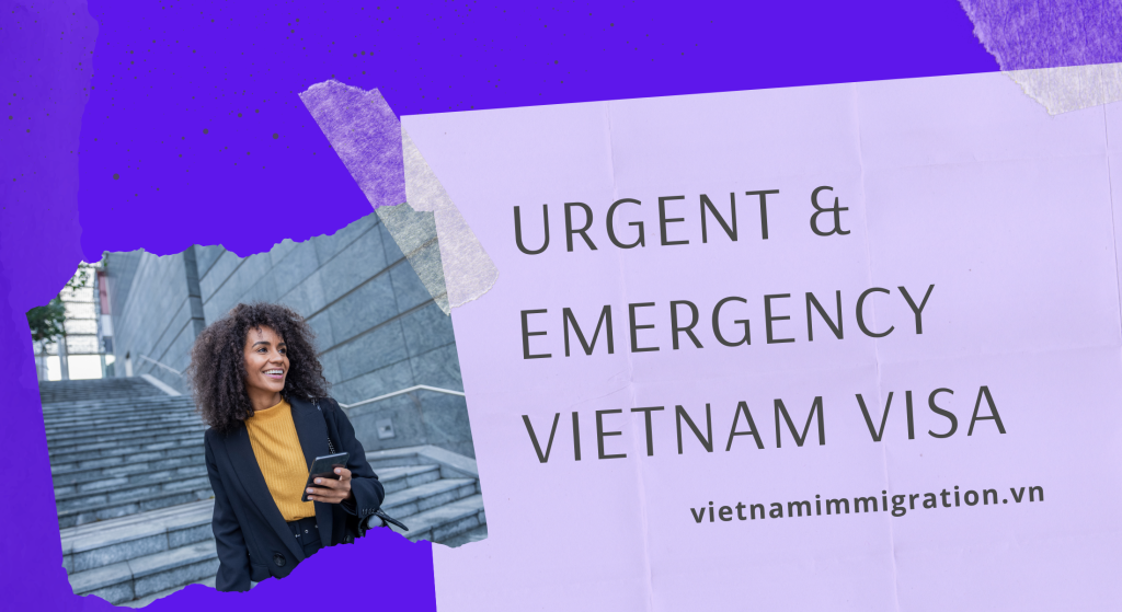 Apply For A Vietnamese Rush Visa In Brazil Vietnam 1817