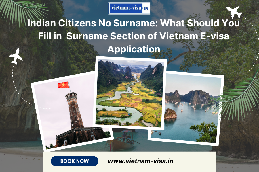 Indian Citizens No Surname: What Should You Fill in  Surname Section of Vietnam E-visa Application