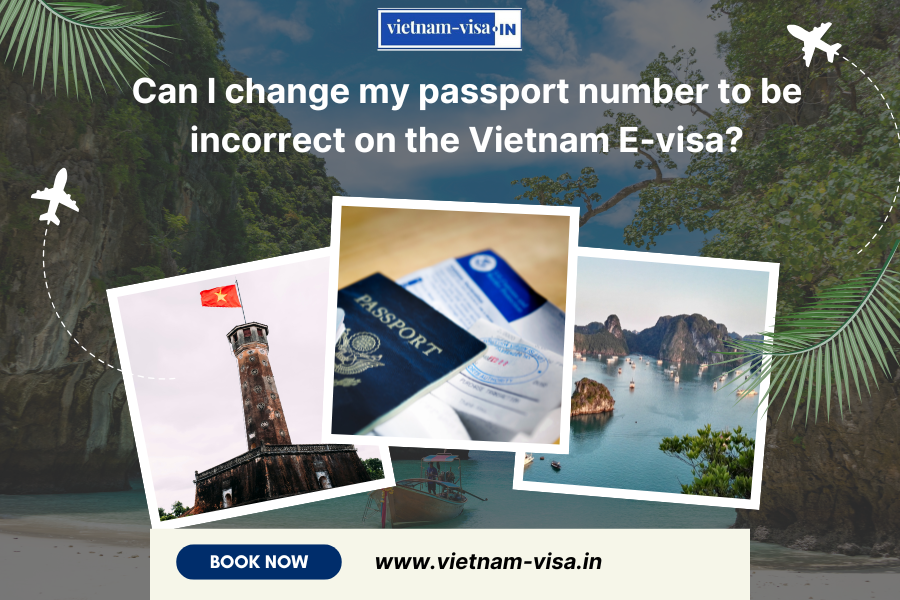 Can I change my passport number to be incorrect on the Vietnam E-visa?